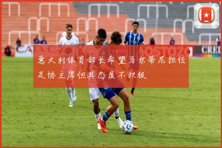 意大利体育部长希望马尔蒂尼担任足协主席但其态度不积极