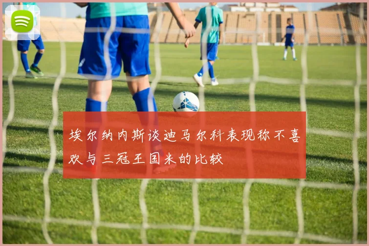埃尔纳内斯谈迪马尔科表现称不喜欢与三冠王国米的比较
